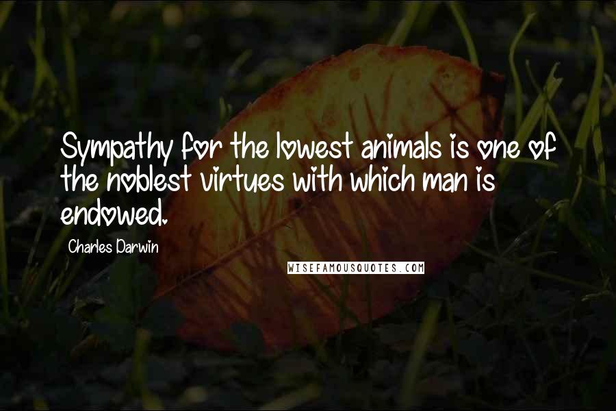 Charles Darwin Quotes: Sympathy for the lowest animals is one of the noblest virtues with which man is endowed.