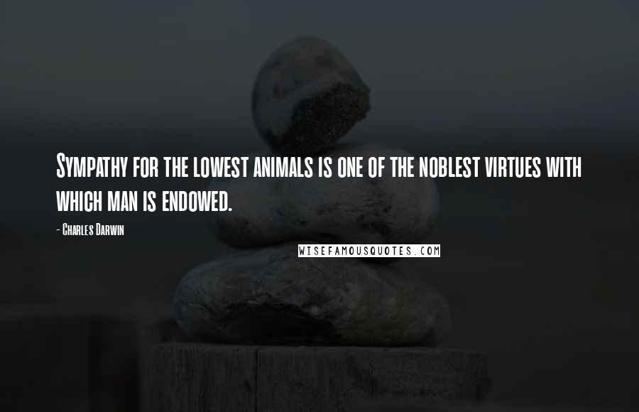 Charles Darwin Quotes: Sympathy for the lowest animals is one of the noblest virtues with which man is endowed.