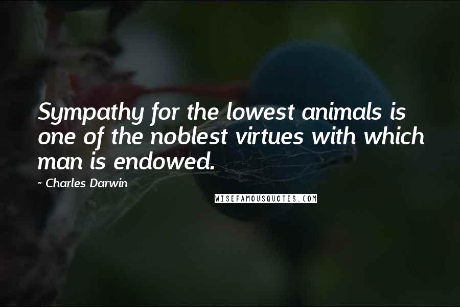 Charles Darwin Quotes: Sympathy for the lowest animals is one of the noblest virtues with which man is endowed.