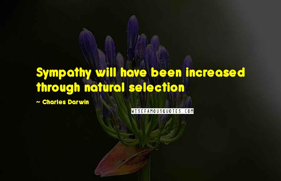 Charles Darwin Quotes: Sympathy will have been increased through natural selection