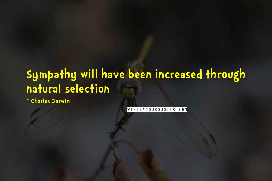 Charles Darwin Quotes: Sympathy will have been increased through natural selection