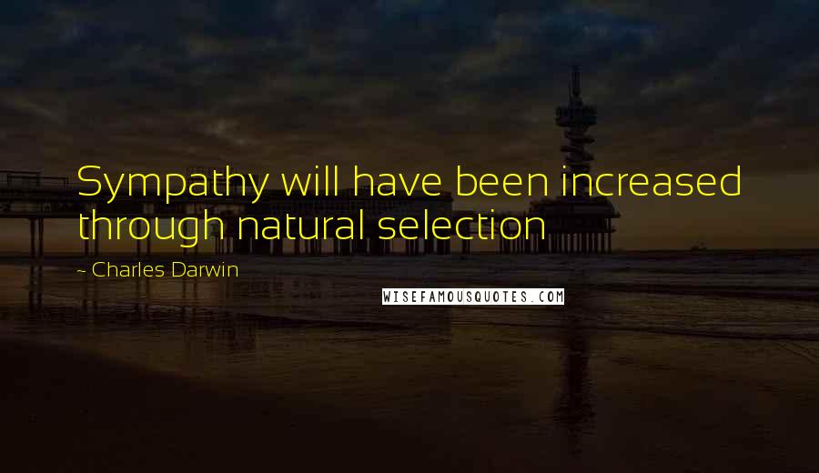 Charles Darwin Quotes: Sympathy will have been increased through natural selection