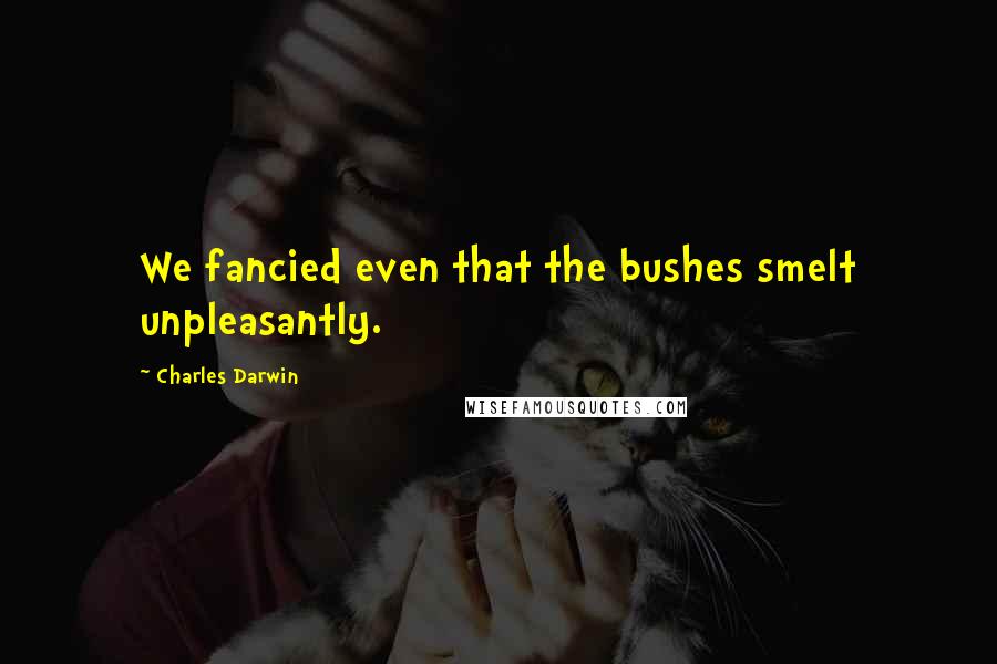 Charles Darwin Quotes: We fancied even that the bushes smelt unpleasantly.