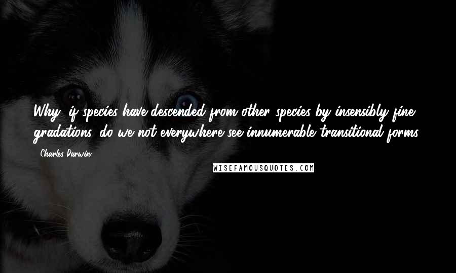 Charles Darwin Quotes: Why, if species have descended from other species by insensibly fine gradations, do we not everywhere see innumerable transitional forms.