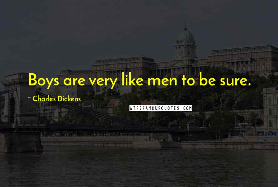 Charles Dickens Quotes: Boys are very like men to be sure.