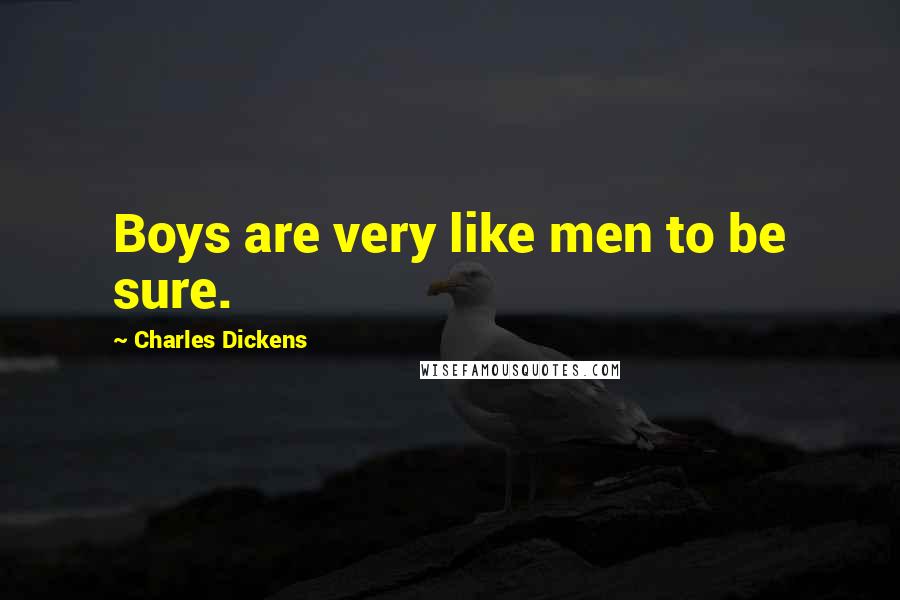 Charles Dickens Quotes: Boys are very like men to be sure.