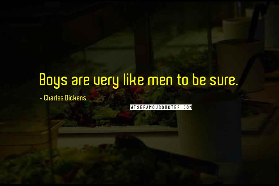 Charles Dickens Quotes: Boys are very like men to be sure.