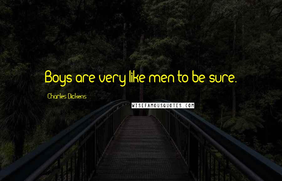 Charles Dickens Quotes: Boys are very like men to be sure.