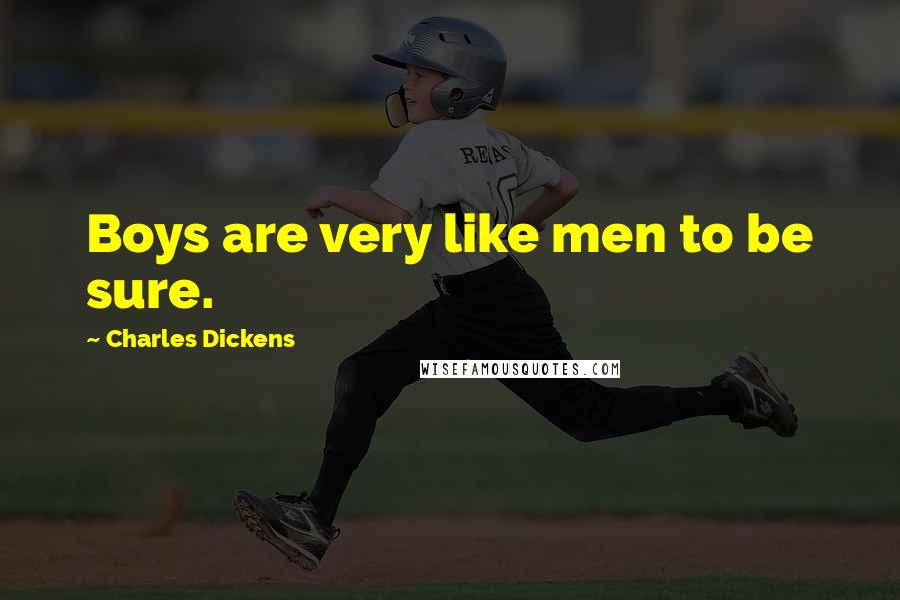 Charles Dickens Quotes: Boys are very like men to be sure.