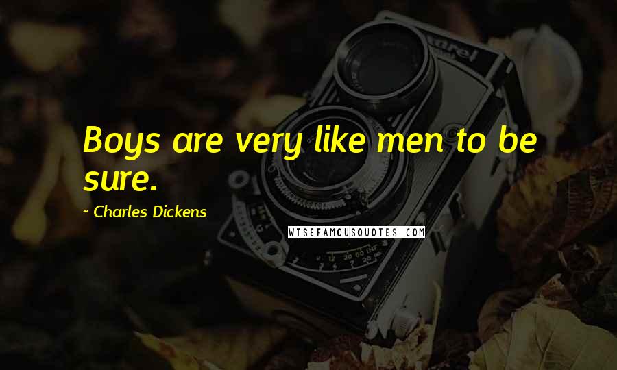 Charles Dickens Quotes: Boys are very like men to be sure.