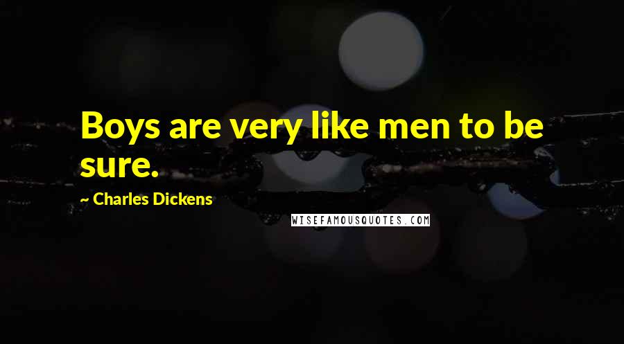 Charles Dickens Quotes: Boys are very like men to be sure.