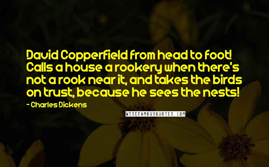 Charles Dickens Quotes: David Copperfield from head to foot! Calls a house a rookery when there's not a rook near it, and takes the birds on trust, because he sees the nests!