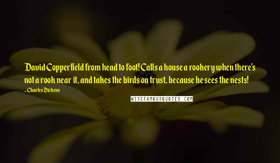 Charles Dickens Quotes: David Copperfield from head to foot! Calls a house a rookery when there's not a rook near it, and takes the birds on trust, because he sees the nests!