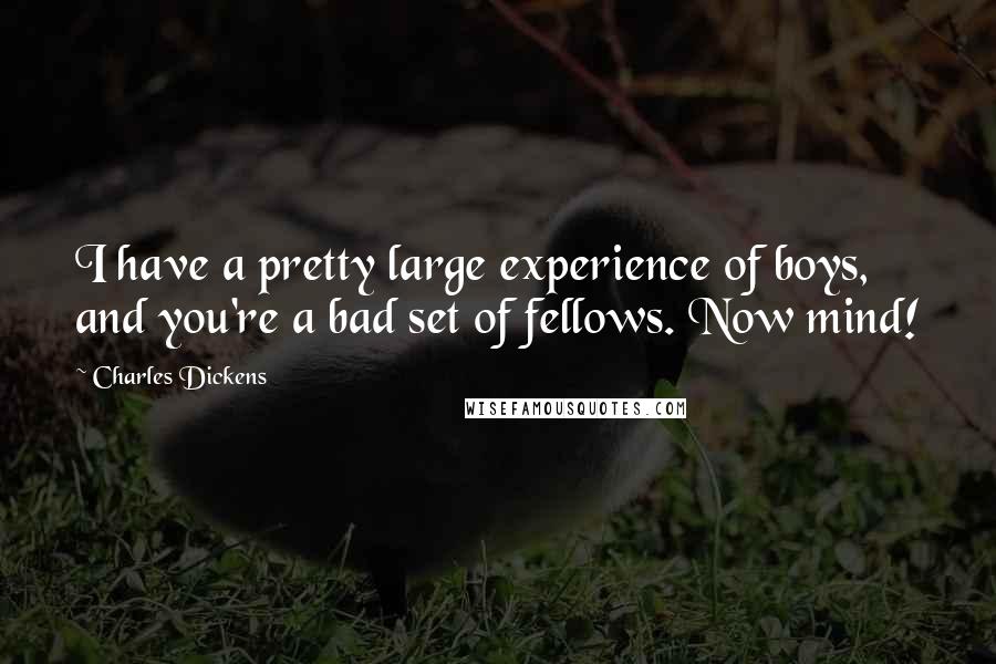 Charles Dickens Quotes: I have a pretty large experience of boys, and you're a bad set of fellows. Now mind!