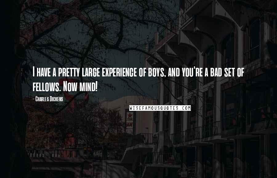 Charles Dickens Quotes: I have a pretty large experience of boys, and you're a bad set of fellows. Now mind!