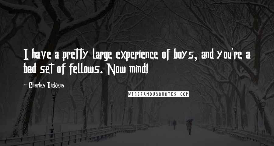 Charles Dickens Quotes: I have a pretty large experience of boys, and you're a bad set of fellows. Now mind!