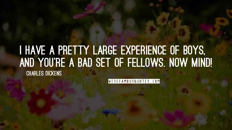 Charles Dickens Quotes: I have a pretty large experience of boys, and you're a bad set of fellows. Now mind!