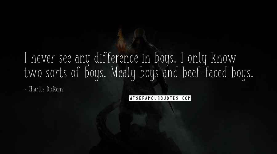 Charles Dickens Quotes: I never see any difference in boys. I only know two sorts of boys. Mealy boys and beef-faced boys.