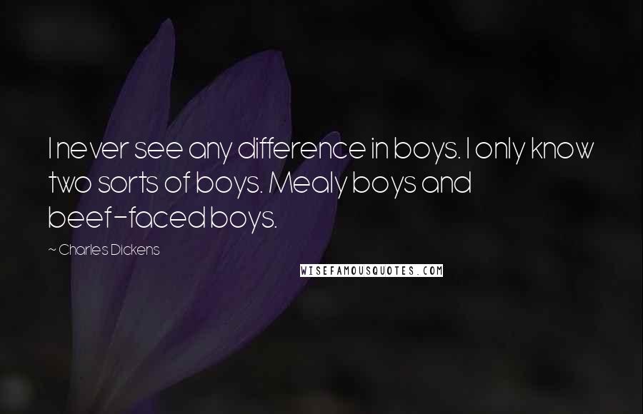 Charles Dickens Quotes: I never see any difference in boys. I only know two sorts of boys. Mealy boys and beef-faced boys.