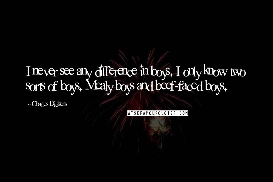 Charles Dickens Quotes: I never see any difference in boys. I only know two sorts of boys. Mealy boys and beef-faced boys.