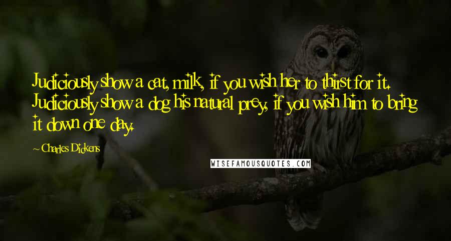 Charles Dickens Quotes: Judiciously show a cat, milk, if you wish her to thirst for it. Judiciously show a dog his natural prey, if you wish him to bring it down one day.