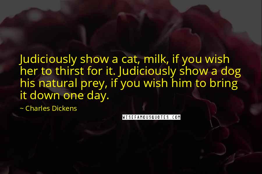 Charles Dickens Quotes: Judiciously show a cat, milk, if you wish her to thirst for it. Judiciously show a dog his natural prey, if you wish him to bring it down one day.