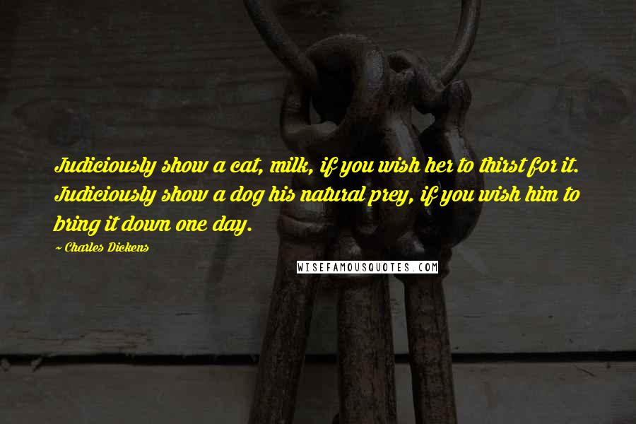 Charles Dickens Quotes: Judiciously show a cat, milk, if you wish her to thirst for it. Judiciously show a dog his natural prey, if you wish him to bring it down one day.