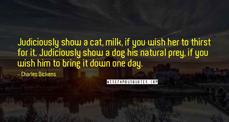 Charles Dickens Quotes: Judiciously show a cat, milk, if you wish her to thirst for it. Judiciously show a dog his natural prey, if you wish him to bring it down one day.