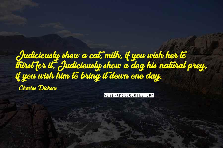 Charles Dickens Quotes: Judiciously show a cat, milk, if you wish her to thirst for it. Judiciously show a dog his natural prey, if you wish him to bring it down one day.
