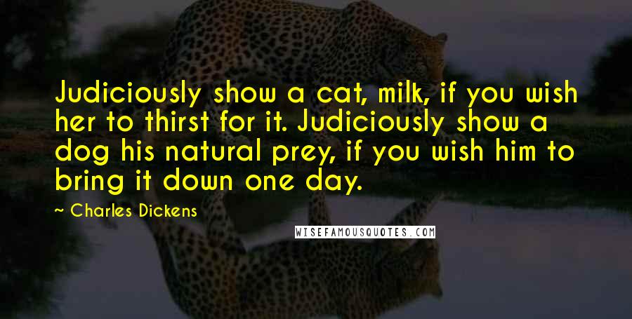 Charles Dickens Quotes: Judiciously show a cat, milk, if you wish her to thirst for it. Judiciously show a dog his natural prey, if you wish him to bring it down one day.
