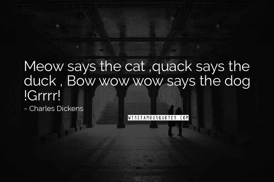 Charles Dickens Quotes: Meow says the cat ,quack says the duck , Bow wow wow says the dog !Grrrr!