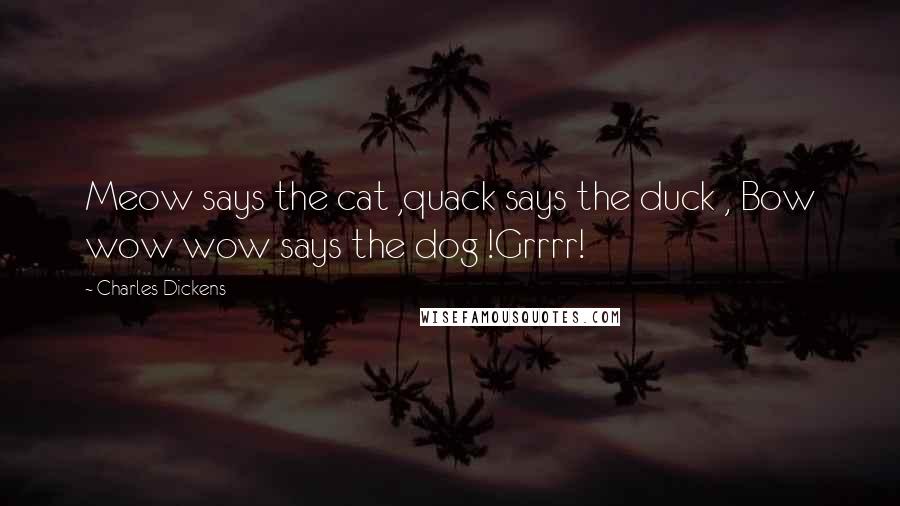 Charles Dickens Quotes: Meow says the cat ,quack says the duck , Bow wow wow says the dog !Grrrr!