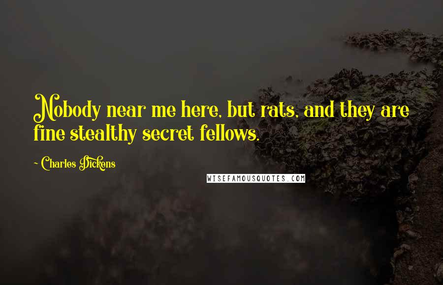 Charles Dickens Quotes: Nobody near me here, but rats, and they are fine stealthy secret fellows.