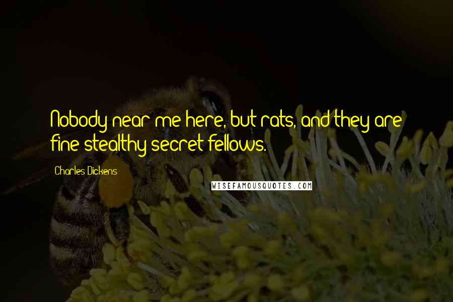 Charles Dickens Quotes: Nobody near me here, but rats, and they are fine stealthy secret fellows.