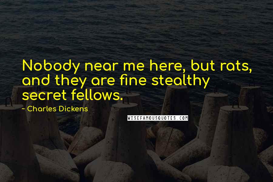 Charles Dickens Quotes: Nobody near me here, but rats, and they are fine stealthy secret fellows.
