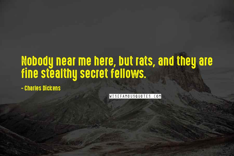 Charles Dickens Quotes: Nobody near me here, but rats, and they are fine stealthy secret fellows.