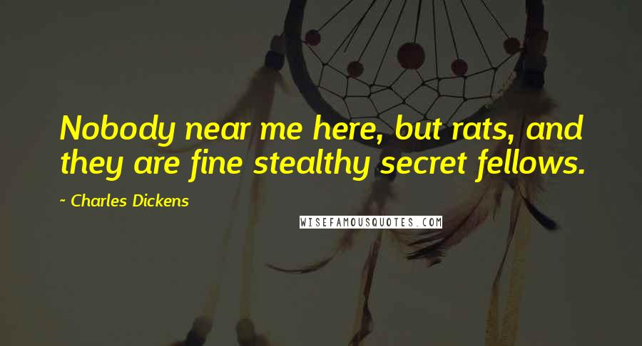 Charles Dickens Quotes: Nobody near me here, but rats, and they are fine stealthy secret fellows.