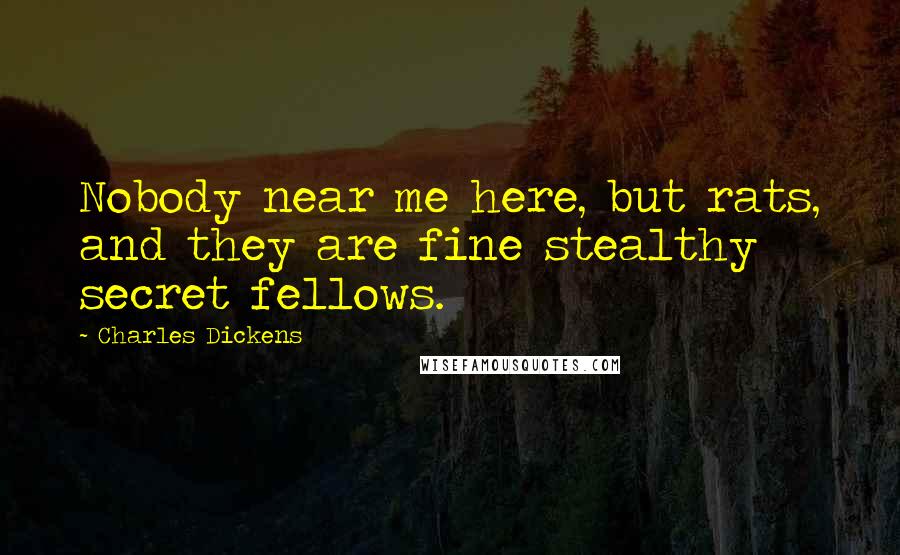 Charles Dickens Quotes: Nobody near me here, but rats, and they are fine stealthy secret fellows.