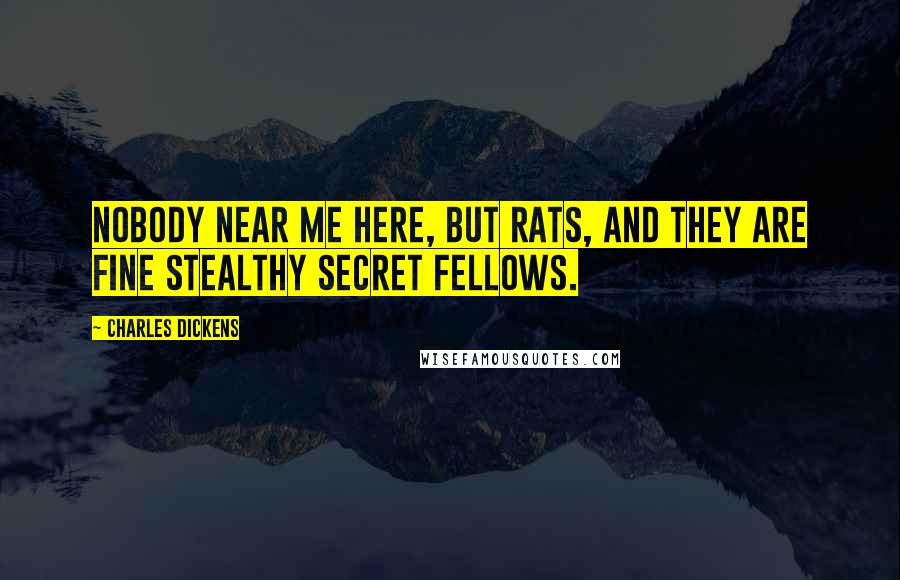 Charles Dickens Quotes: Nobody near me here, but rats, and they are fine stealthy secret fellows.