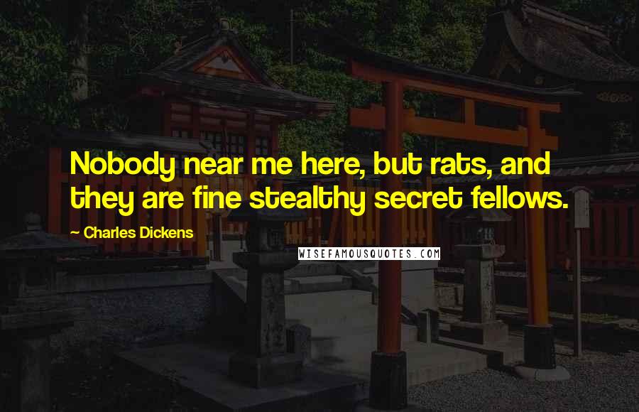 Charles Dickens Quotes: Nobody near me here, but rats, and they are fine stealthy secret fellows.