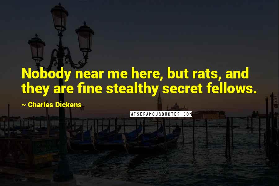Charles Dickens Quotes: Nobody near me here, but rats, and they are fine stealthy secret fellows.
