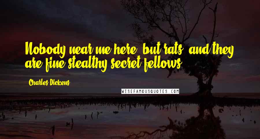 Charles Dickens Quotes: Nobody near me here, but rats, and they are fine stealthy secret fellows.