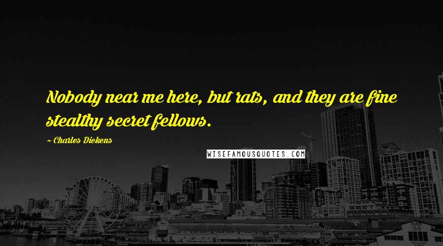 Charles Dickens Quotes: Nobody near me here, but rats, and they are fine stealthy secret fellows.