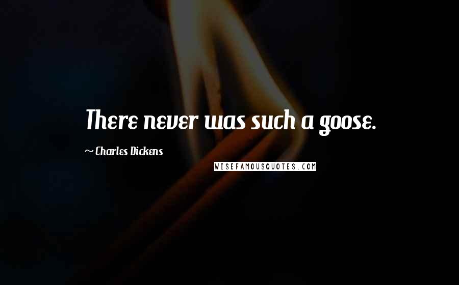 Charles Dickens Quotes: There never was such a goose.