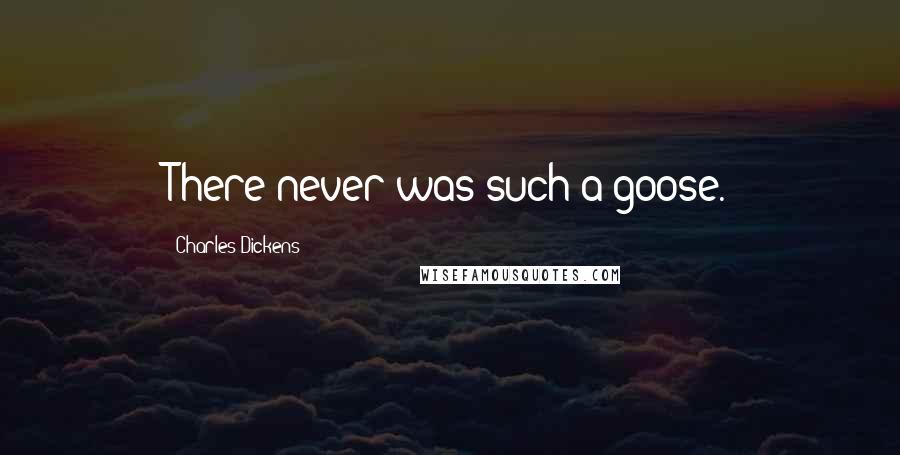 Charles Dickens Quotes: There never was such a goose.