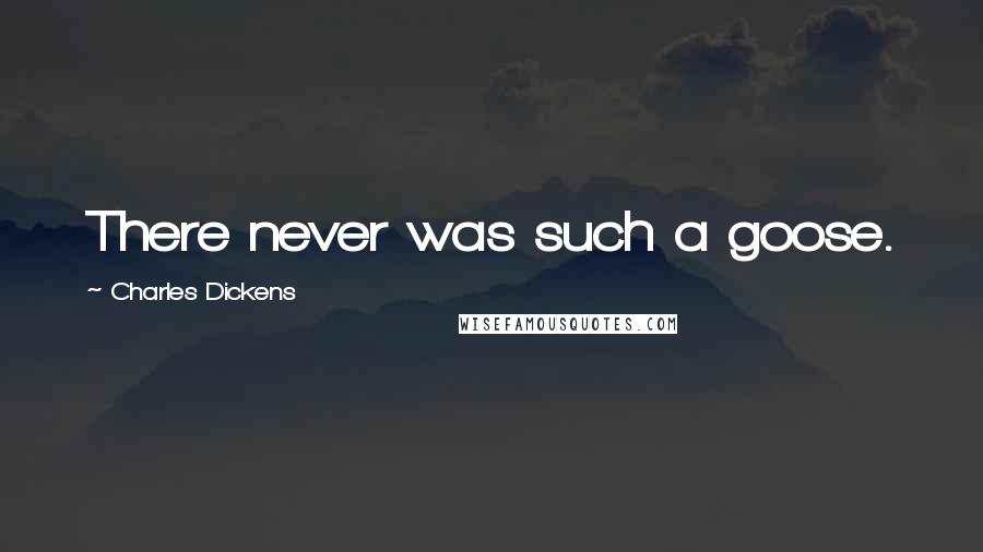 Charles Dickens Quotes: There never was such a goose.