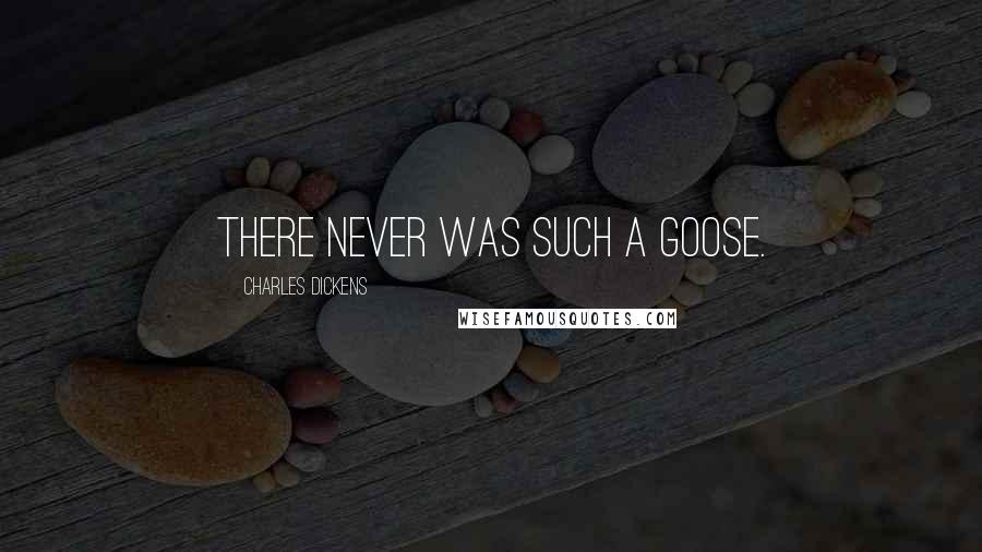 Charles Dickens Quotes: There never was such a goose.