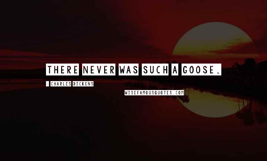 Charles Dickens Quotes: There never was such a goose.