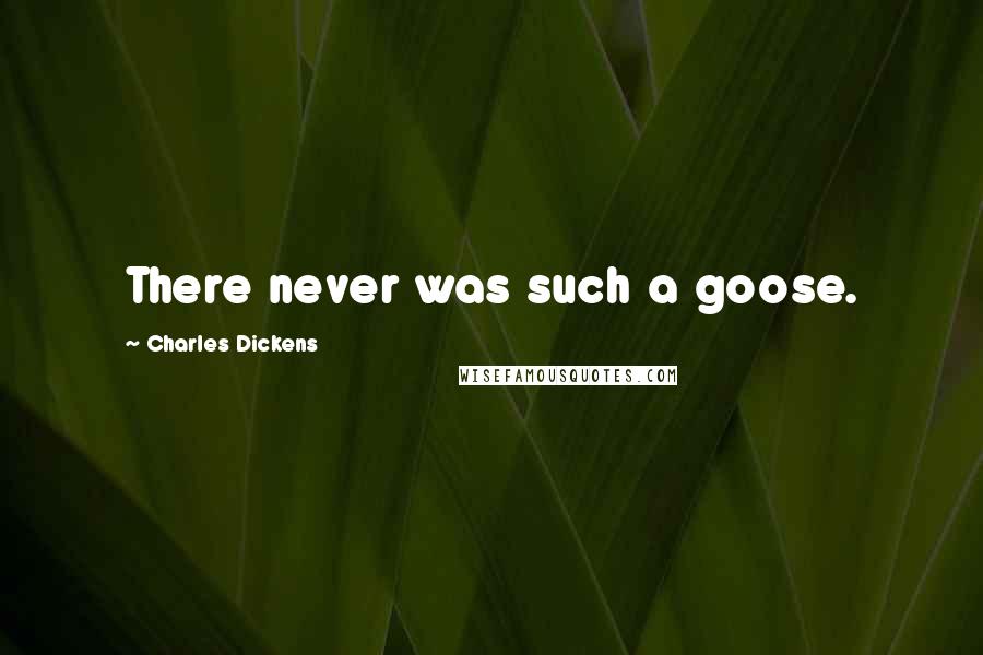 Charles Dickens Quotes: There never was such a goose.