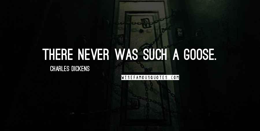 Charles Dickens Quotes: There never was such a goose.